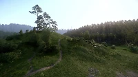 Kingdom Come Deliverance Royal Edition