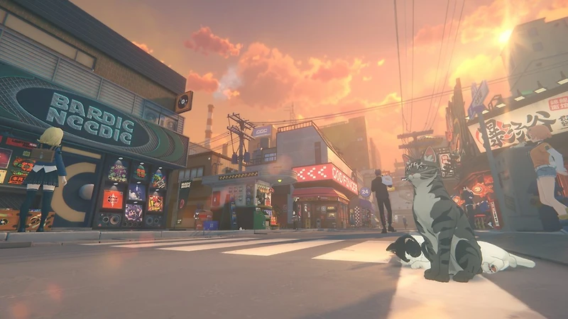 Zenless Zone Zero Collector's Edition