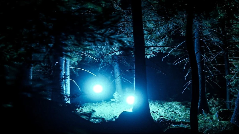 They Are Here: Alien Abduction Horror