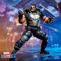 Marvel Legends Series Marvel Rivals The Punisher Action Figure Collectible