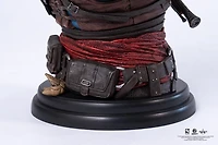 Assassin's Creed: Edward Kenway 1/4 Scale Bust