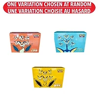 Chinese Pokemon TCG Eevee Jumbo Box Assorted
