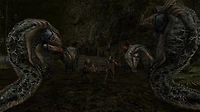 Gothic 2 Classic