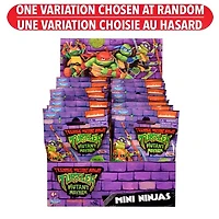 Teenage Mutant Ninja Turtles Movie Mini Ninja Bling Bag Assorted – One Variation Chosen at Random