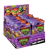 Teenage Mutant Ninja Turtles Movie Mini Ninja Bling Bag Assorted – One Variation Chosen at Random
