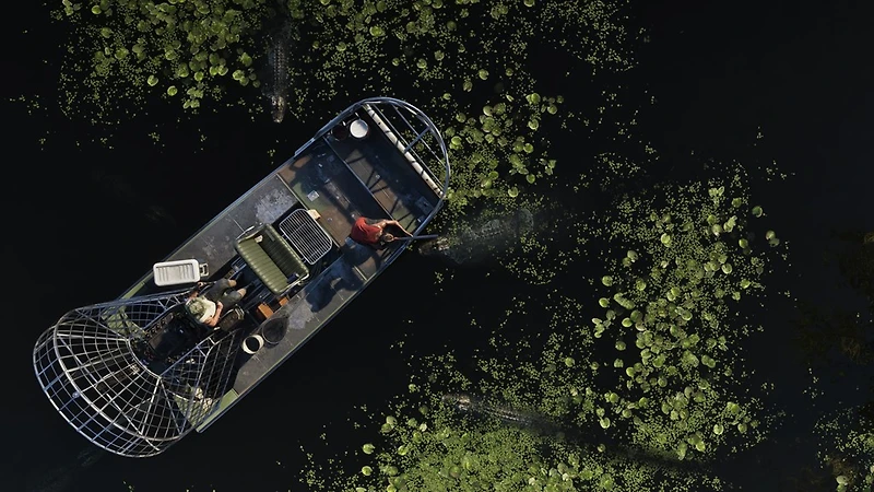 Grand Theft Auto VI