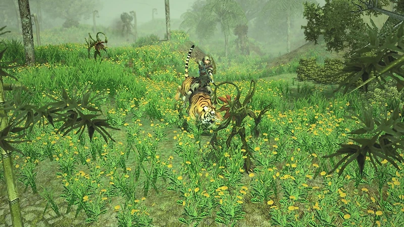 Sacred 2 Remaster