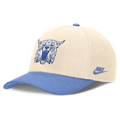 Kentucky Primetime Rise Academic Men's Nike Dri-FIT College Adjustable Hat