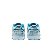 Nike Dunk Low Big Kids' Shoes