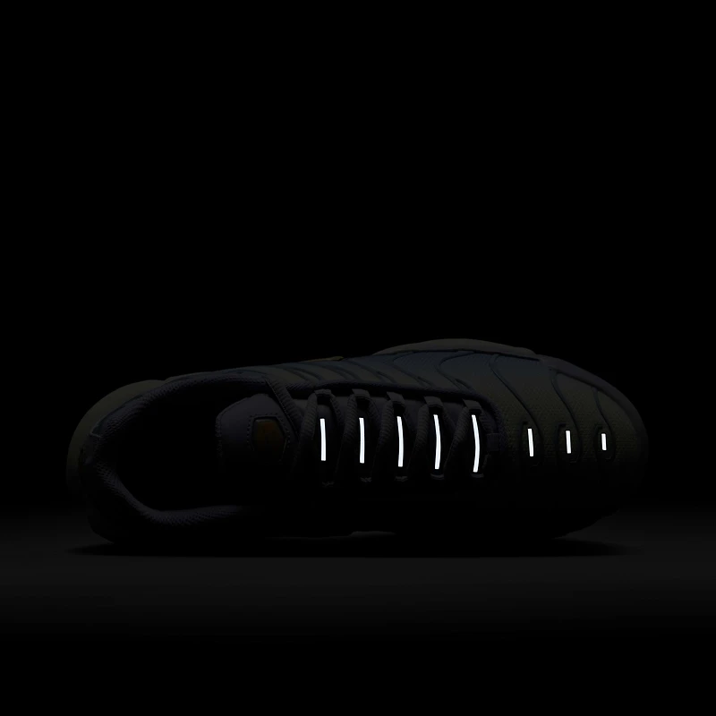 Nike Air Max Plus Women's Shoes