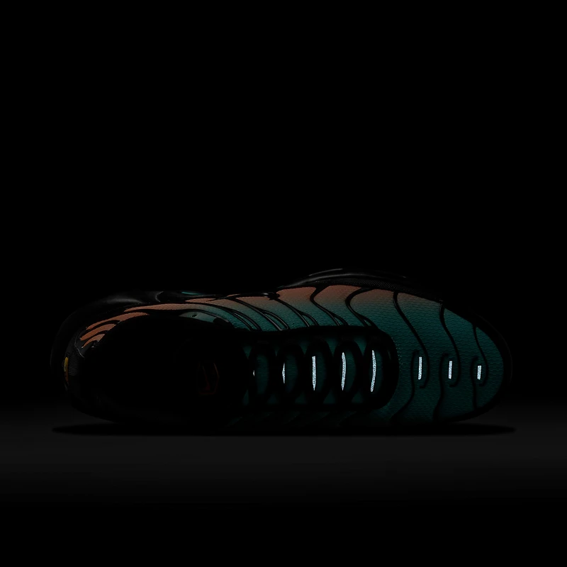 Nike Air Max Plus OG Men's Shoes with Reflective Accents
