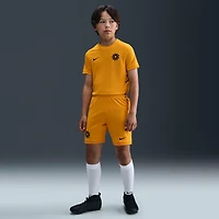 Erling Haaland Academy Big Kids' Dri-FIT Short-Sleeve Soccer Top