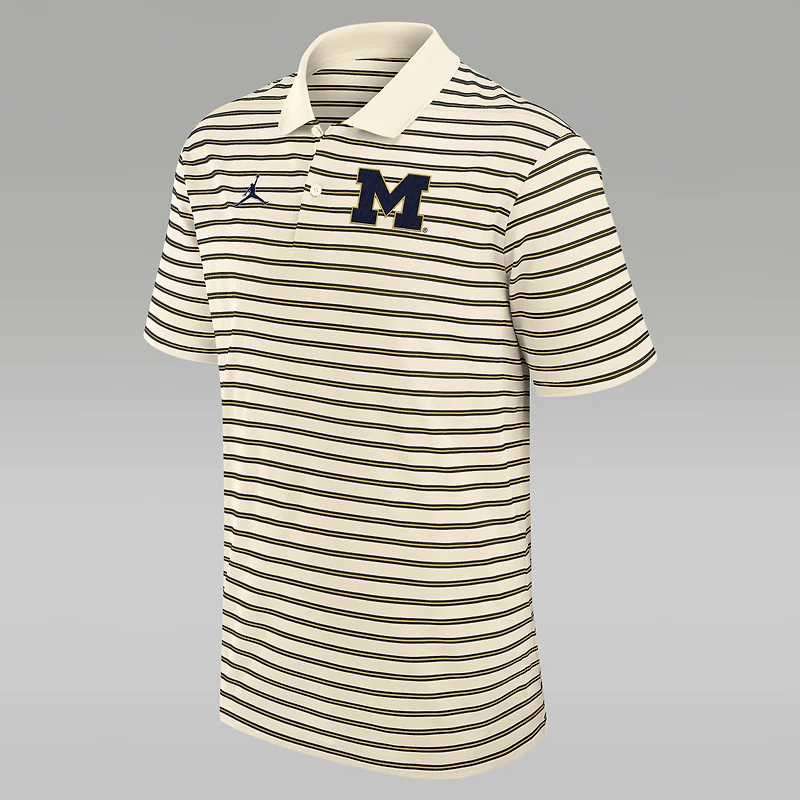 Michigan Striped Men's Jordan Brand Dri-FIT College Polo