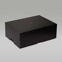 Air Jordan 40 "The Classic" Basketball Shoes