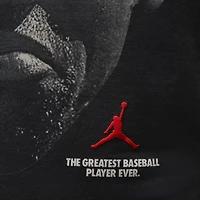 Jordan Men's Crew-Neck T-Shirt