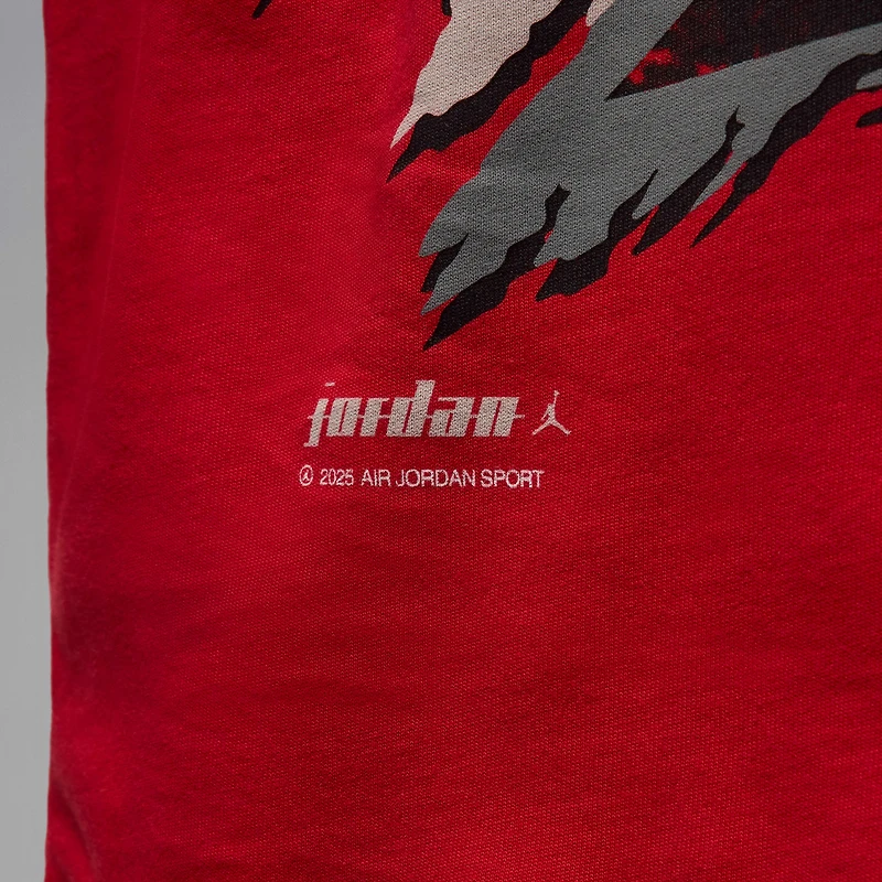 Jordan Men's T-Shirt