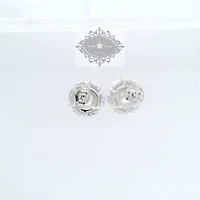 Sterling Silver  Round Cubic Zirconia Earrings 155045