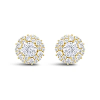 Yellow Gold Plated Sterling Silver  Round Cubic Zirconia Earrings 155047