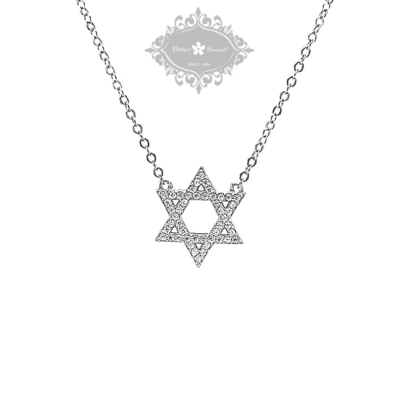 Sterling Silver Cubic Zirconia Star of David Necklace 151233