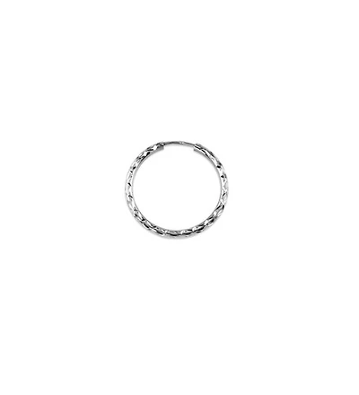 10kt Gold Bella Dazzle Hoops
