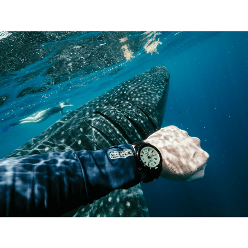 Promaster Dive Automatic