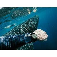 Promaster Dive Automatic