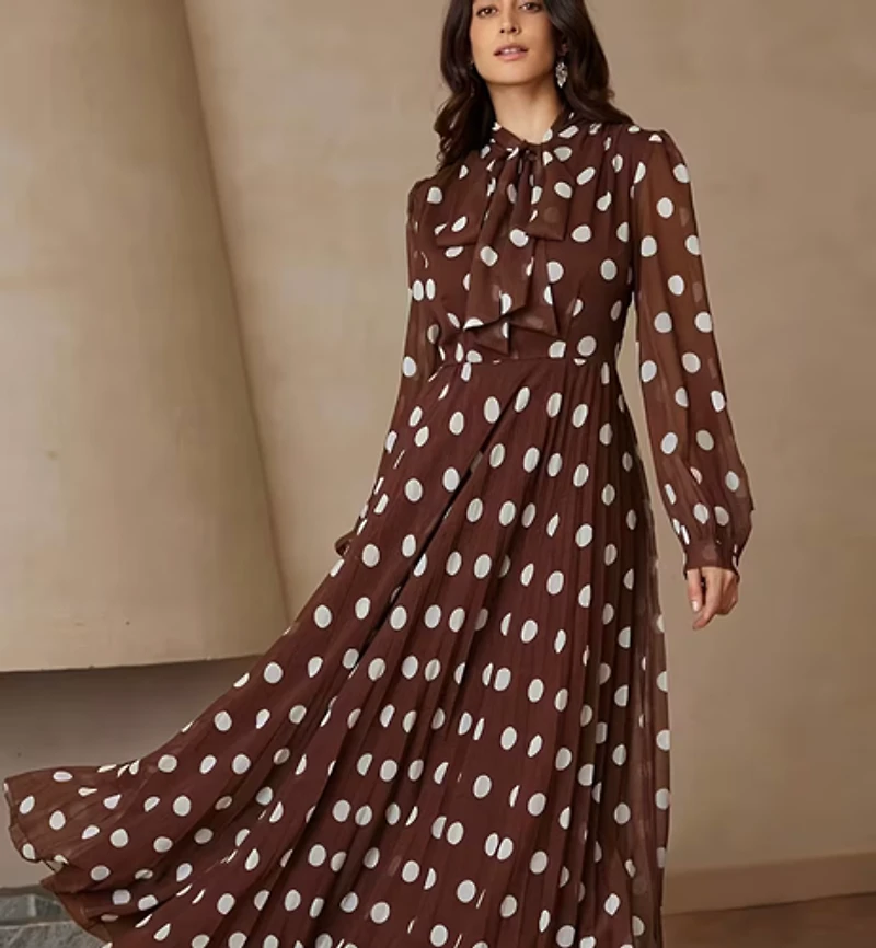 Brown Chiffon  Polka Dot Maxi Dress