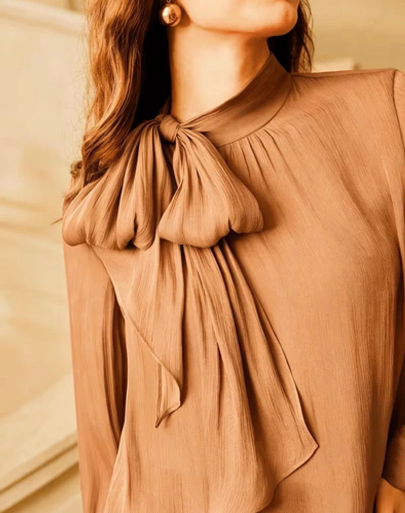 Stylish Long Sleeve High Neck Tie Blouse