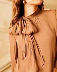 Stylish Long Sleeve High Neck Tie Blouse