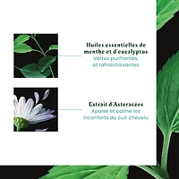 Rene Furterer - Astera Fresh - Rituel Apaisant - Shampooing 200ml