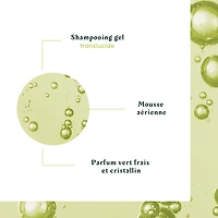 Rene Furterer - Volumea - Shampooing Expenseur 600ml