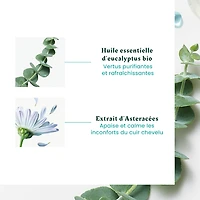 Rene Furterer - Astera Fresh - Concentré Apaisant Fraîcheur