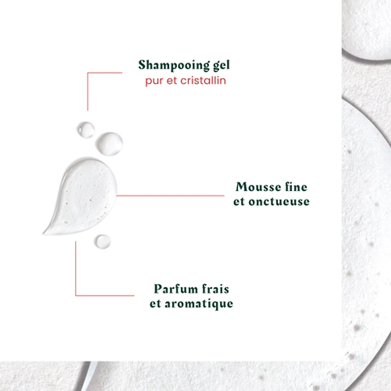 Rene Furterer - Neopur - Shampooing Cuir Chevelu Gras