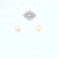 10k Yellow Gold Cubic Zirconia Flower Studs Earrings 153787