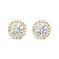 Gold Plated Sterling Silver Cubic Zirconia Round Studs 143467