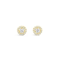 10k Yellow Gold Cubic Zirconia Studs Earrings 153718