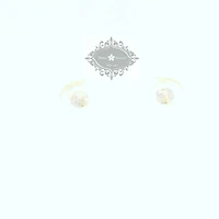 10k Yellow Gold Cubic Zirconia Studs Earrings