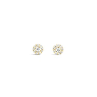 10k Yellow Gold Cubic Zirconia Studs Earrings
