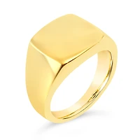 Men's Stainless Steel Ring 143048