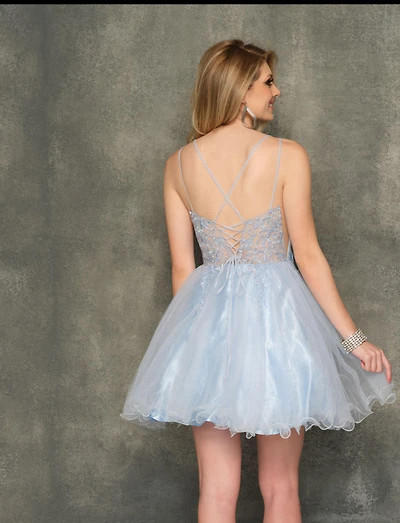 Floral Embroidered Bodice Cocktail Dress