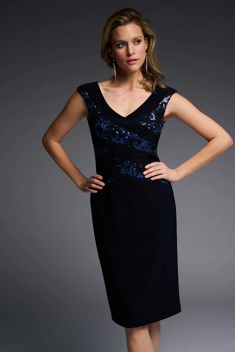 Sequin Applique Dress