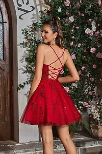 A-line Sparkle Tulle Short Dress
