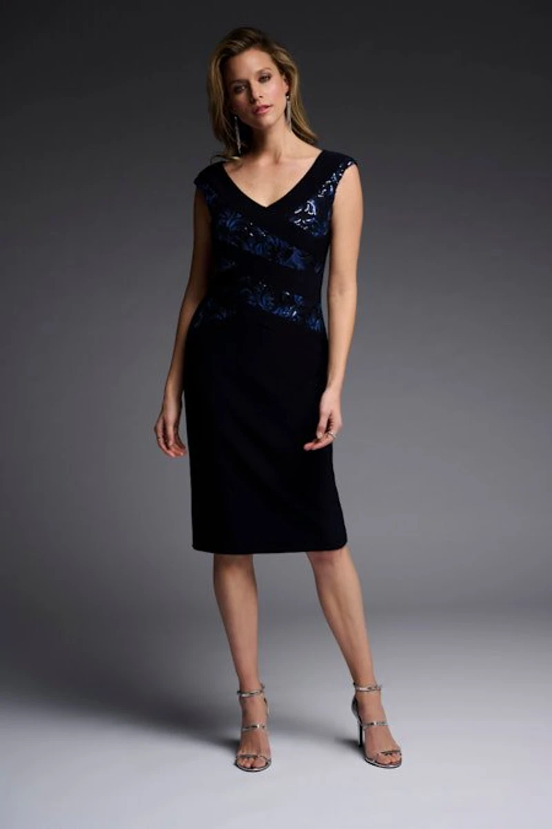 Sequin Applique Dress
