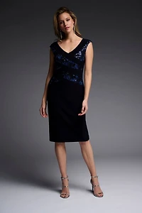 Sequin Applique Dress