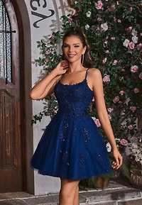 A-line Sparkle Tulle Short Dress