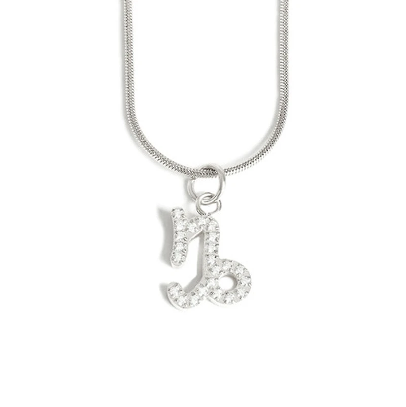 Steel Zodiac Symbol Necklace