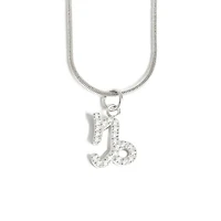 Steel Zodiac Symbol Necklace