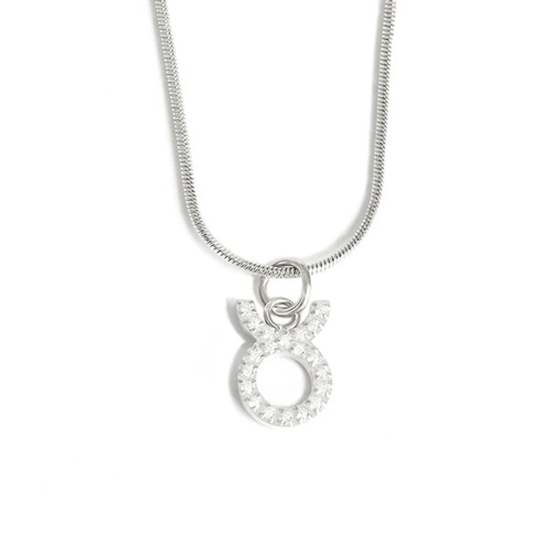 Steel Zodiac Symbol Necklace