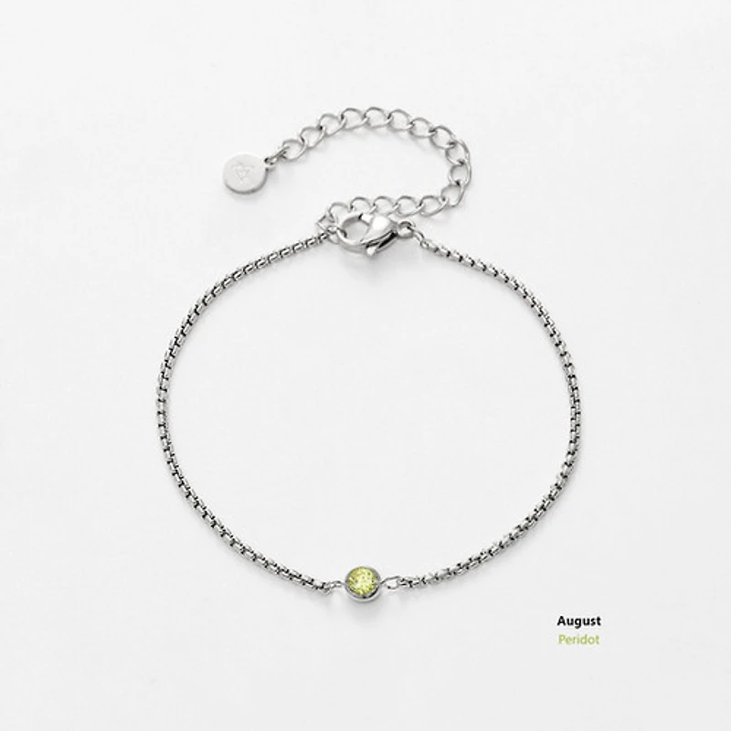 Steel Birthstone Bracelet