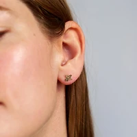 Hummingbird Studs
